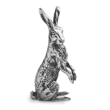 Silver Hare
