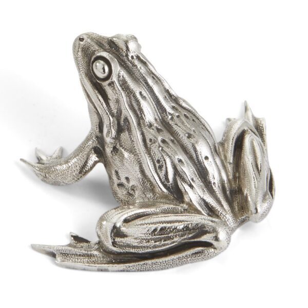 Silver Frog