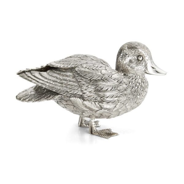 Silver Teal Duck