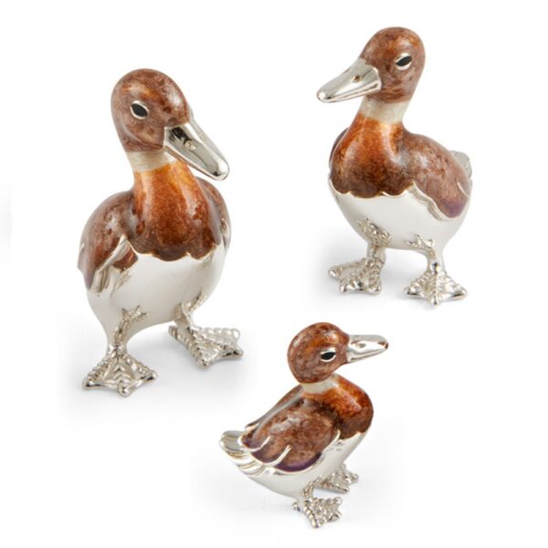 Duck Standing