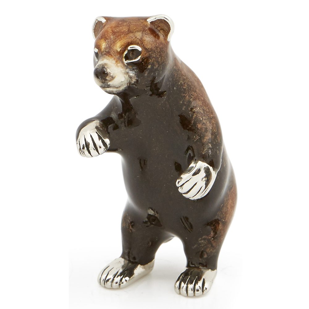 Grizzly Bears - Image 2