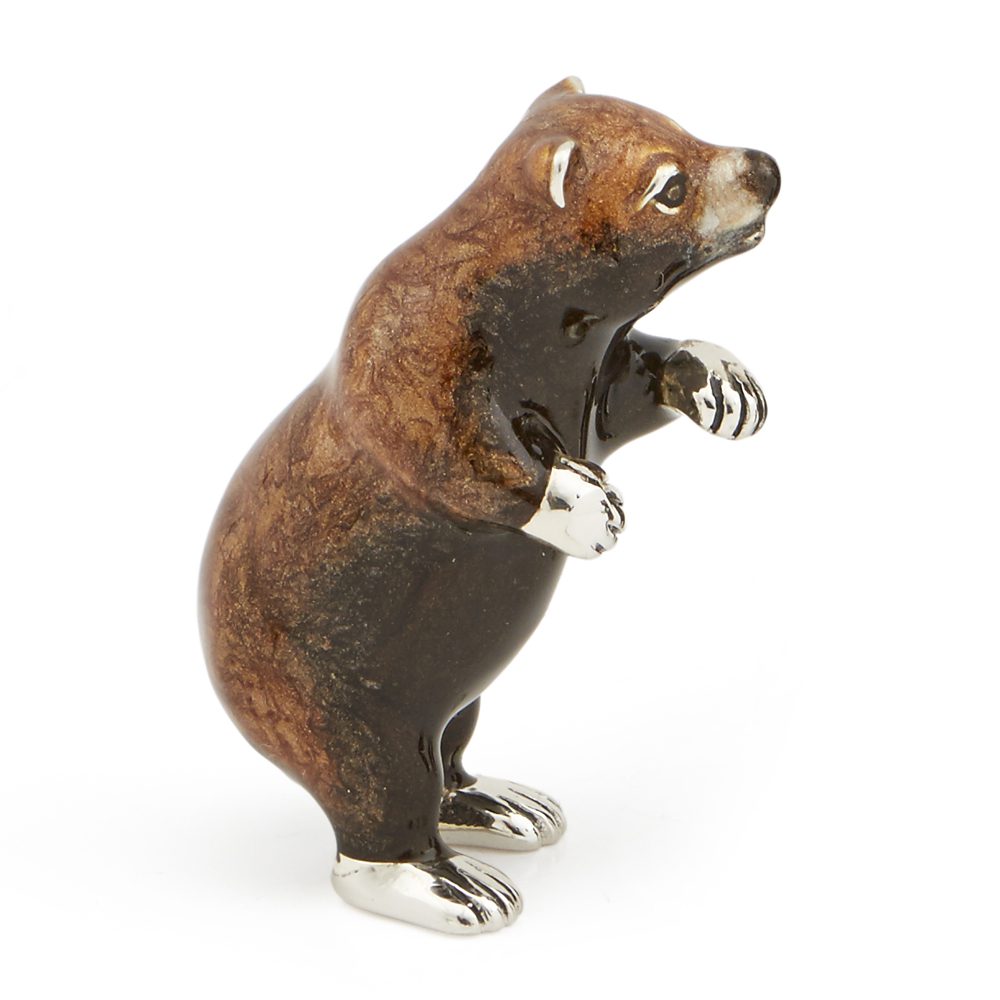 Grizzly Bears - Image 3