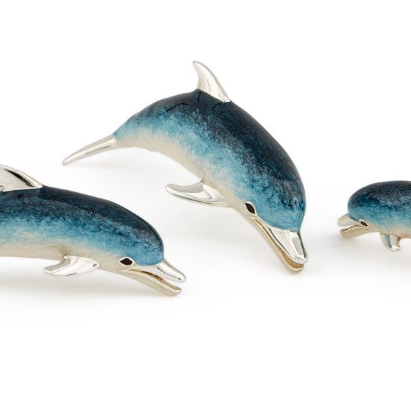 Swimming Dolphins