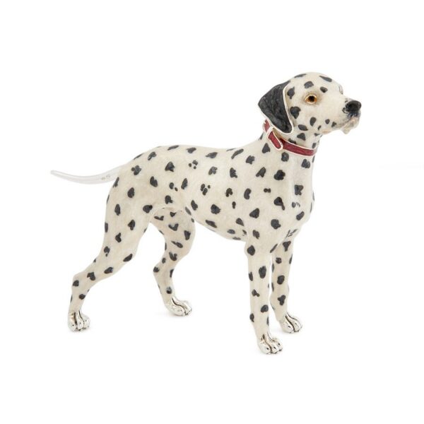 Dalmation - Large
