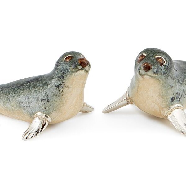 Grey Seals