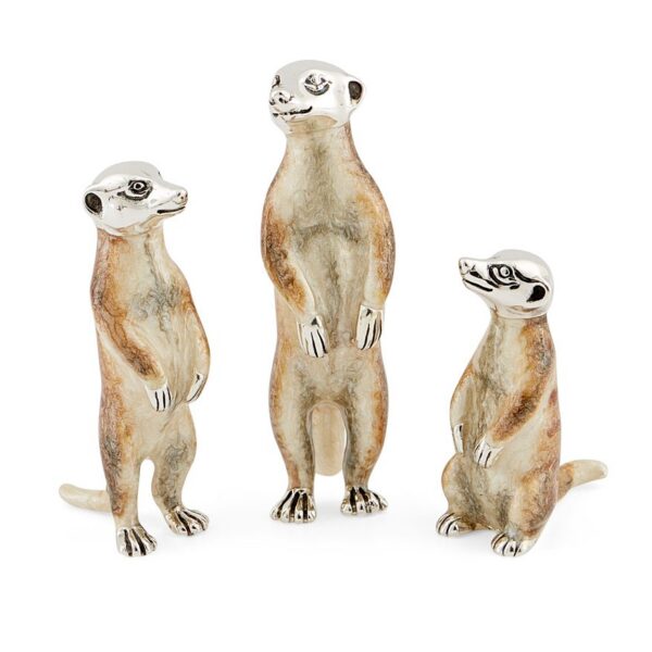 Small Meerkats