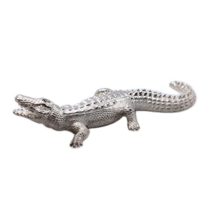 Crocodile