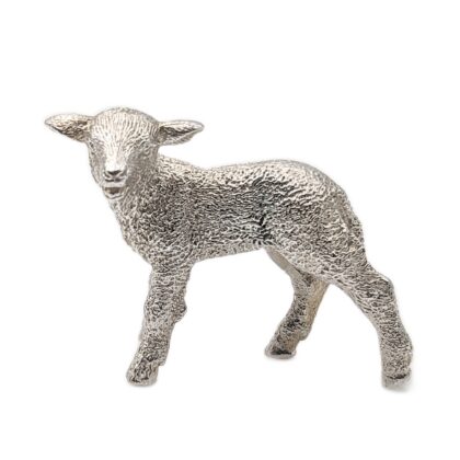 Lamb
