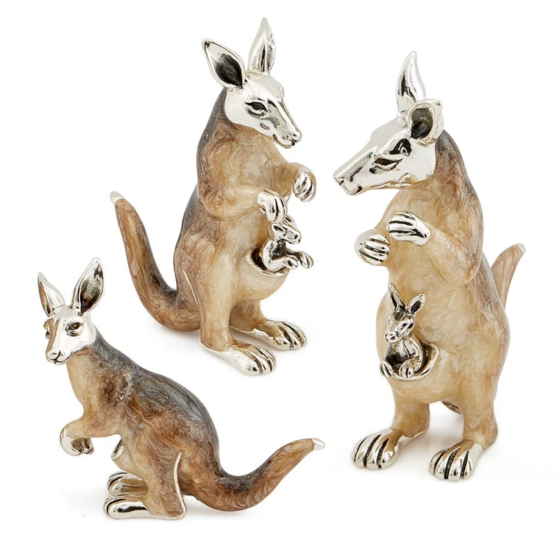 Grey Kangaroos
