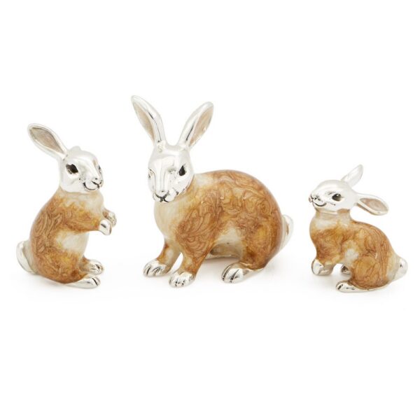 Rabbits With Enamel Bodies