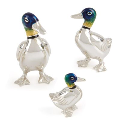Ducks Standing With Enamel Head