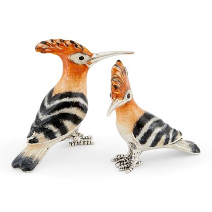 Hoopoe Birds