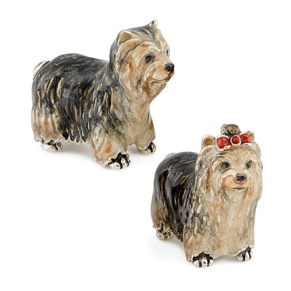 Yorkshire Terriers