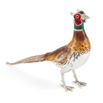 Cock Pheasant