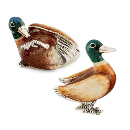 Mallard Couple