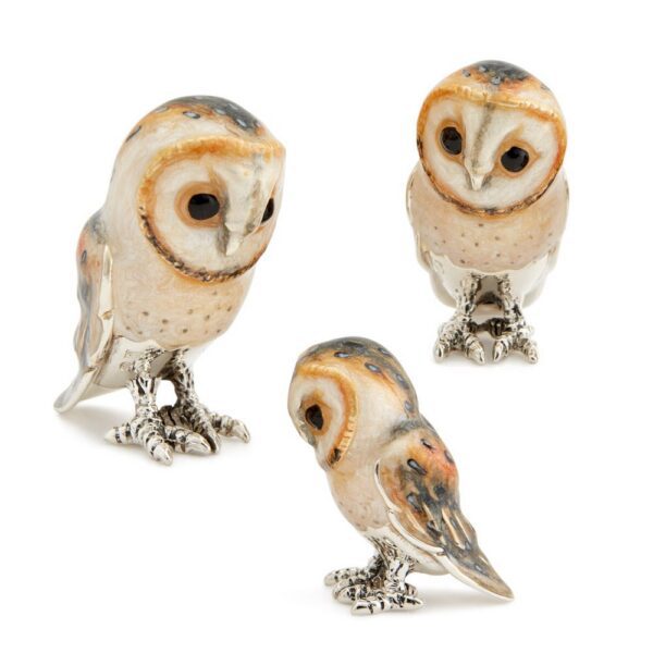 Small Barn Owls