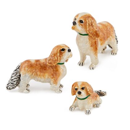 King Charles Spaniels