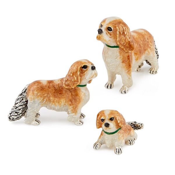 King Charles Spaniels