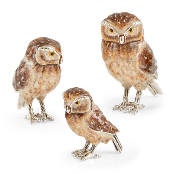 Tawny Owls
