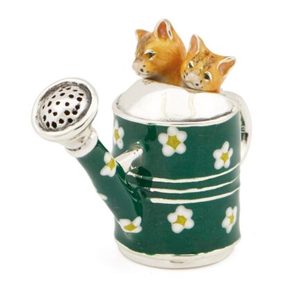 Ginger Cat In A Green Watering Can