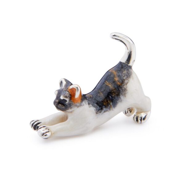 Small Black and White Cat