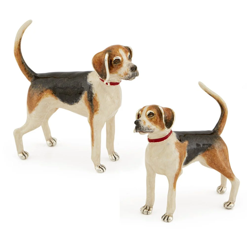 English Fox Hounds