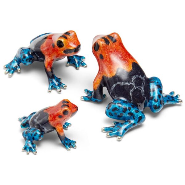 Poison Dart Frog Family