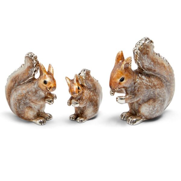 Squirrel Family