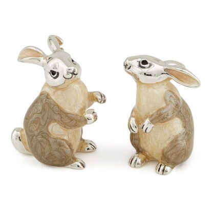 Beige Rabbits Playing