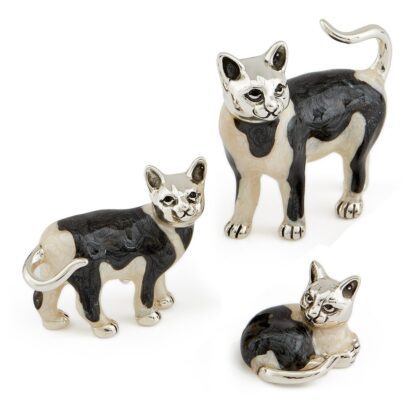 Black And White Cats