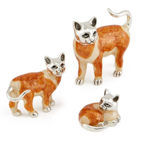 Ginger Cats