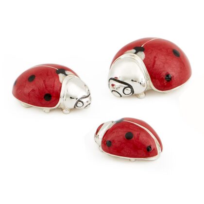 Ladybirds