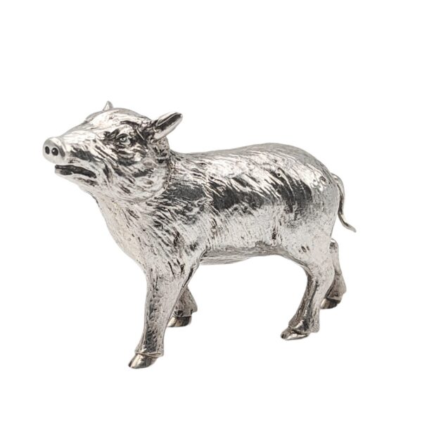 Baby boarlet - Cont c.1990