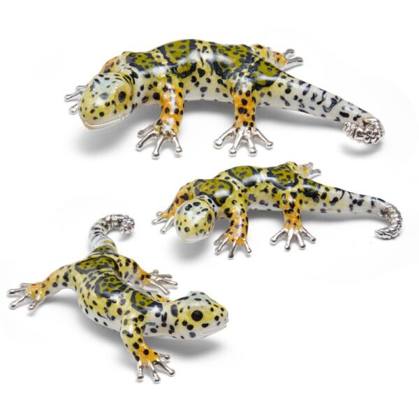Gecko Family
