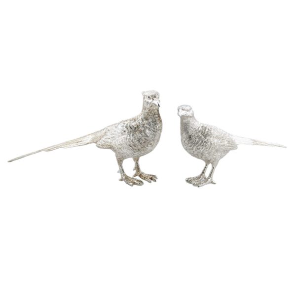 Pair of pheasants - modern