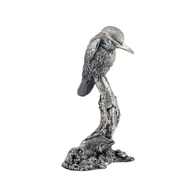 Kingfisher - Birmingham