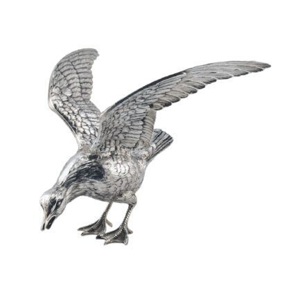 Seagull - Continental