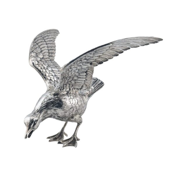 Seagull - Continental