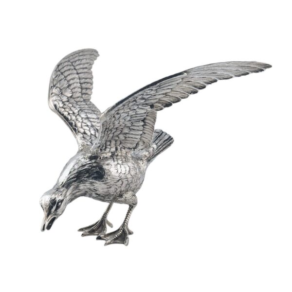 Seagull - Continental