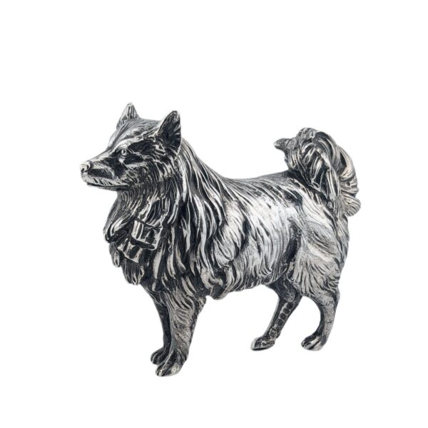 Dog - 1904