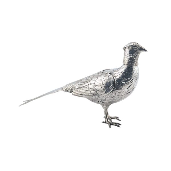 Pheasant - c1900