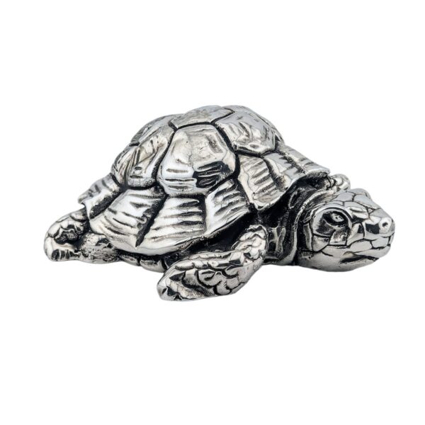 Tortoise - Continental