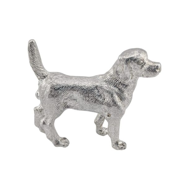 Labrador - London 2018