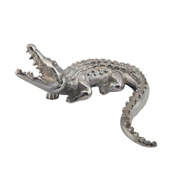 Alligator