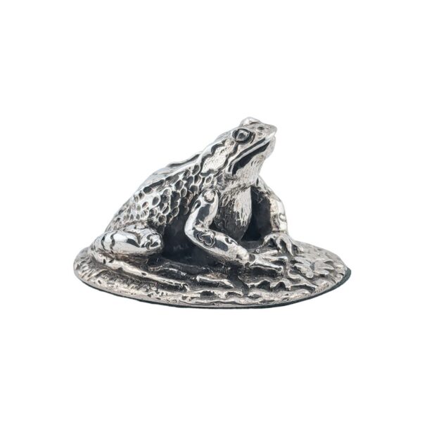 Frog - Sheffield 2012