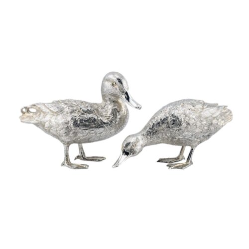 Pair ducks - London 2018