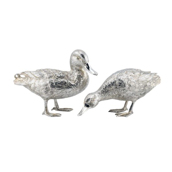 Pair ducks - London 2018