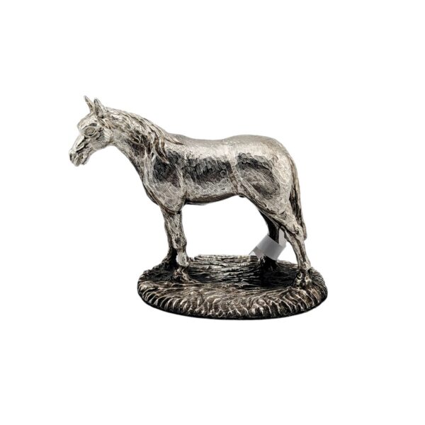 Small horse - Sheffield 2012