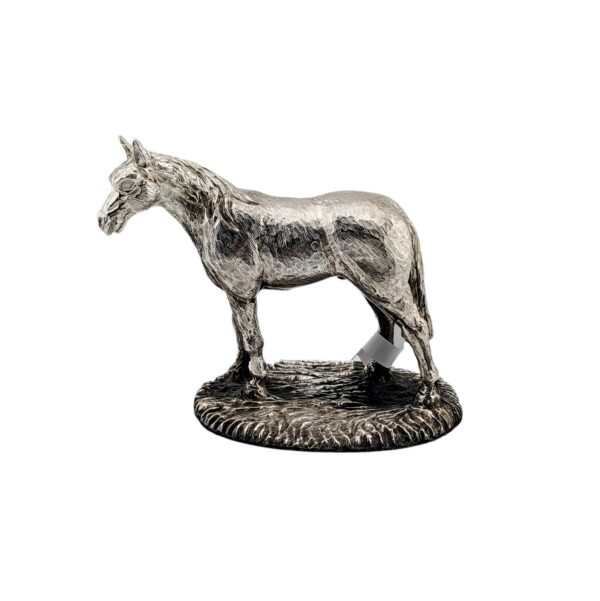 Small horse - Sheffield 2012