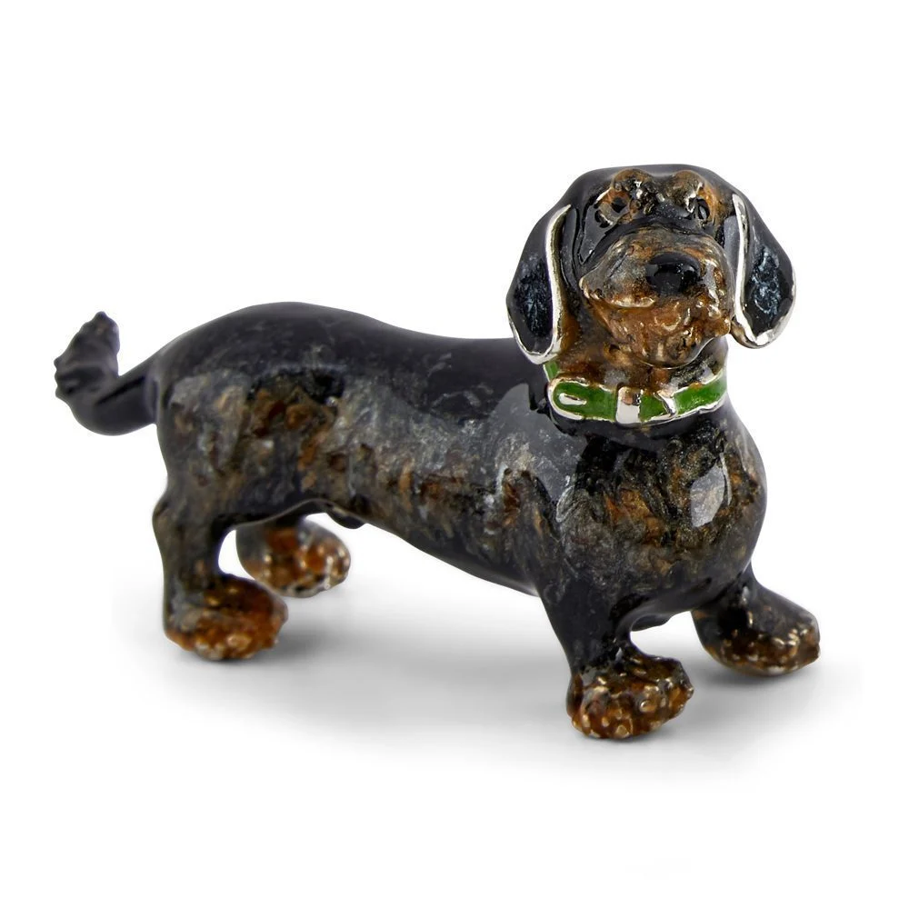 Rough Haired Dachshunds - Image 3